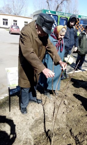 Продолжение акции " Дерево памяти"