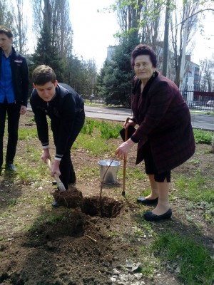 "Дерево памяти" в округе №2