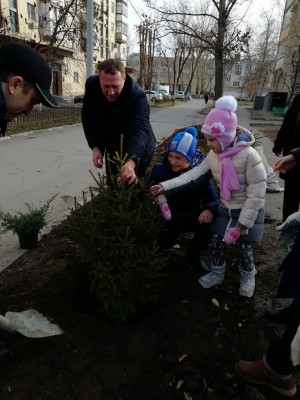 Аллея в честь 80 летия Ростовской области!