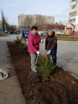 Аллея в честь 80 летия Ростовской области!