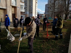 Аллея в честь 80 летия Ростовской области!