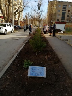 Аллея в честь 80 летия Ростовской области!