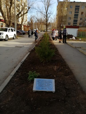Аллея в честь 80 летия Ростовской области!