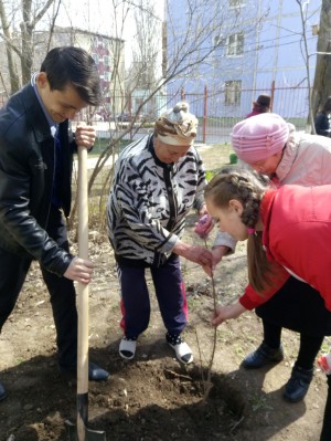 Прошла акция ДЕРЕВО ПАМЯТИ в 7 округе