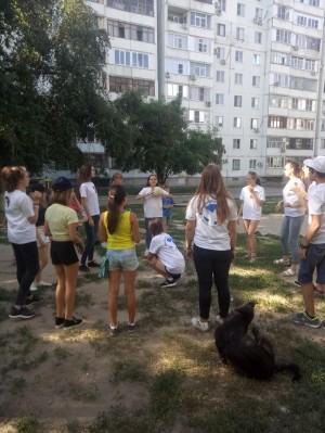 Дворовые игры в 20 округе