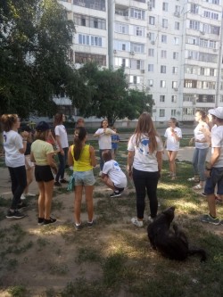 Дворовые игры в 20 округе