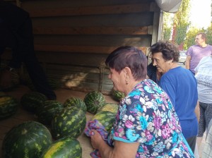 Летняя ягода для жителей 3 округа от депутата