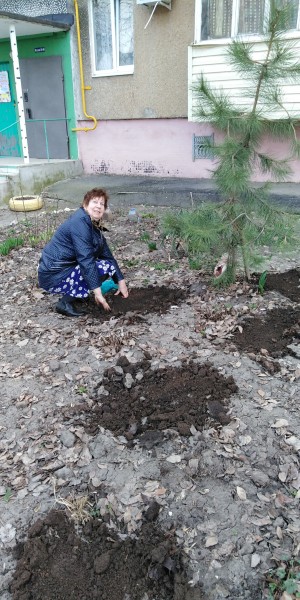 Новые клумбы в 8 округе