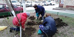 Новые клумбы в 8 округе