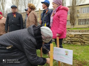 Округ №5 участие в городской акции «САД ПАМЯТИ».