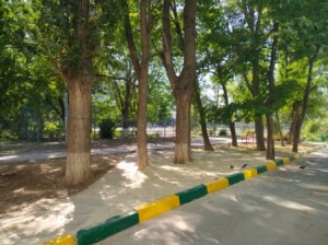 По инициативе депутата А.В.Бородина в округе №16 проведен субботник