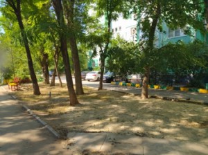 По инициативе депутата А.В.Бородина в округе №16 проведен субботник