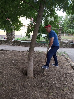 Ко дню рождения Волгодонска жители округа № 3 вышли на субботник
