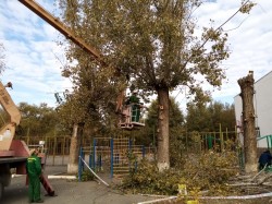  Первый округ Месячник чистоты