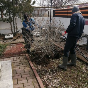 Участие в акции "Сад памяти" в 10 округе