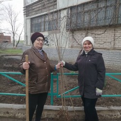 День древонасаждения в 10 округе 