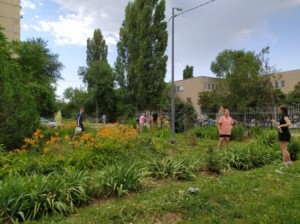 25 июня в округе №16 проведен субботник