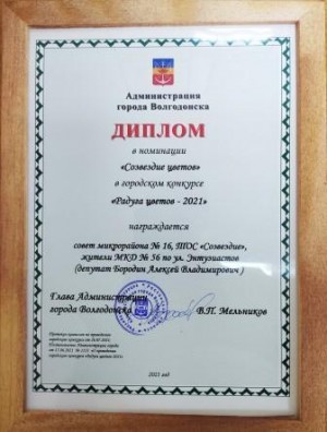 Клумбы  микрорайона №16 в сквере в районе МКД №56 по ул.Энтузиастов победители конкурса «Радуга цветов-2021» 