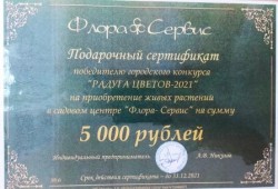 Клумбы  микрорайона №16 в сквере в районе МКД №56 по ул.Энтузиастов победители конкурса «Радуга цветов-2021» 