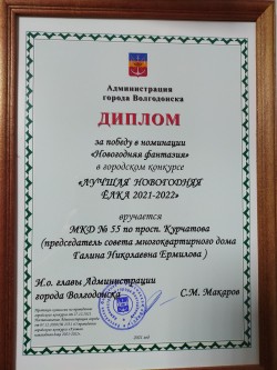 Новогодняя красавица округа №16 признана победителем в номинации 