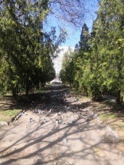 21 округ. Ремонтные работы в сквере 