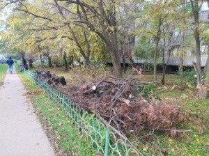 Округ №16 - Управляющая компания «Жилстрой» провела субботник на городской территории