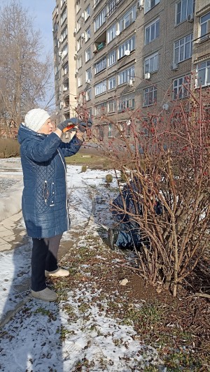 3 округ. "Серебряные волонтёры"