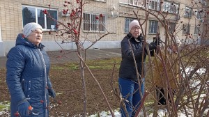 3 округ. "Серебряные волонтёры"