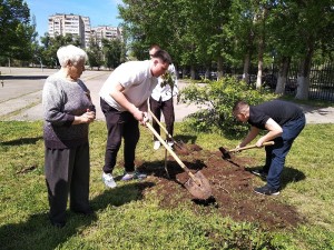 9 округ. "Дерево памяти"