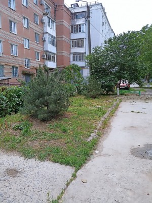 3 округ. "Двор, в котором я живу".