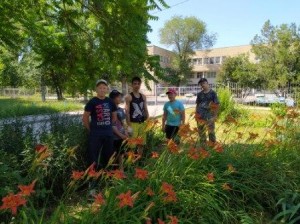 Клумба в округе №16 радует горожан