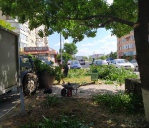 Очередной субботник проведен в округе №16