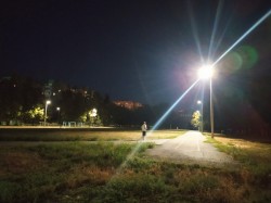Округ №16: помощь учреждениям образования, культуры и спорта, благоустройство придомовых территорий