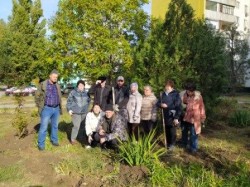 Округ №16: Жители округа приняли активное участие в «Месячнике чистоты»