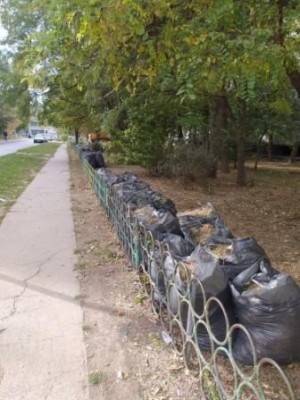 Округ №16: Жители округа приняли активное участие в «Месячнике чистоты»