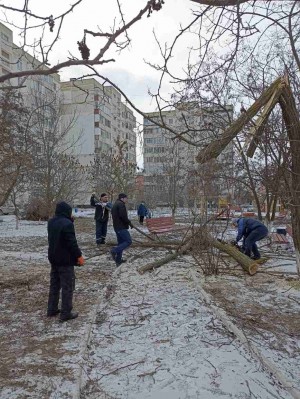 11 округ Субботник