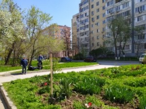 В округе 16 проведен  очередной субботник! 