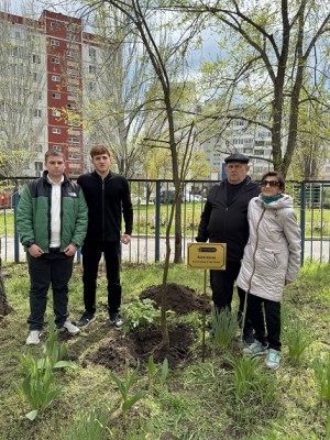 20 округ.  Дерево памяти