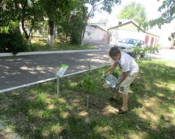 первый округ Вахта памяти