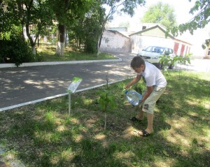 первый округ Вахта памяти