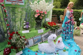 «Волгодонск – город цветов»