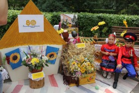 «Волгодонск – город цветов»