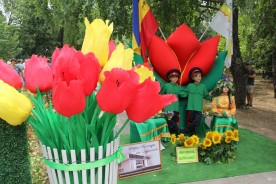 «Волгодонск – город цветов»