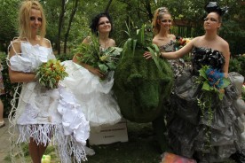 «Волгодонск – город цветов»