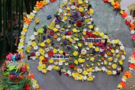 «Волгодонск – город цветов»