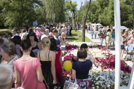 Литература, цветы и победа над фашизмом
