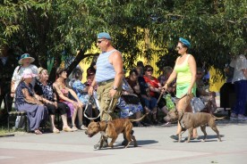«Голубые береты» Волгодонска отметили День ВДВ