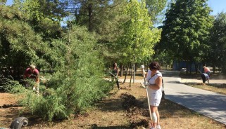 Общегородской субботник