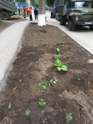 Подарок городу ко Дню рождения