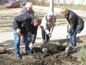Акция «Тюльпаны Победы» в округе № 4: жители вместе с депутатом высадили более двух тысяч цветов
